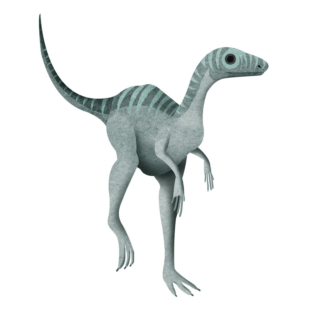Dinosaurs – Eoraptor